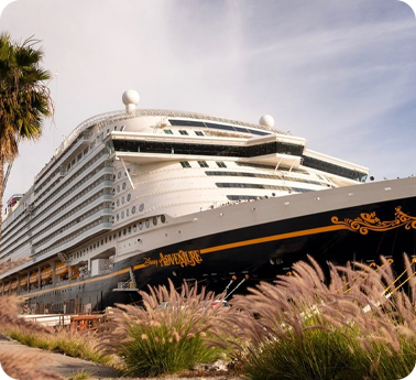 Cruise